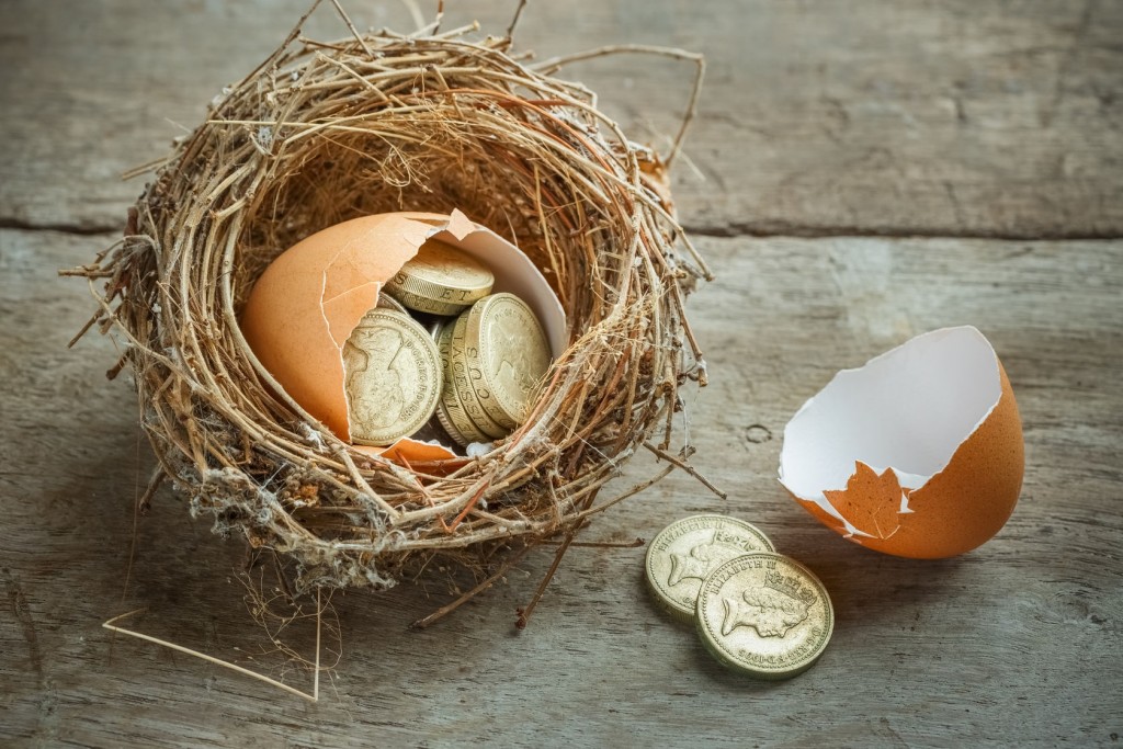 31253172 - british pound coins with bird nest and broken egg
